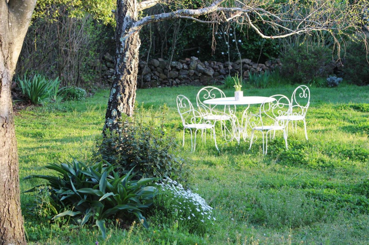 Mas Les Romarins, 10 Min D'Uzes, Piscine Et Grand Jardin Clos, Jeux, Nid De Repos Et Base Pour Activites Dans Le Gard (Adults Only) Zewnętrze zdjęcie