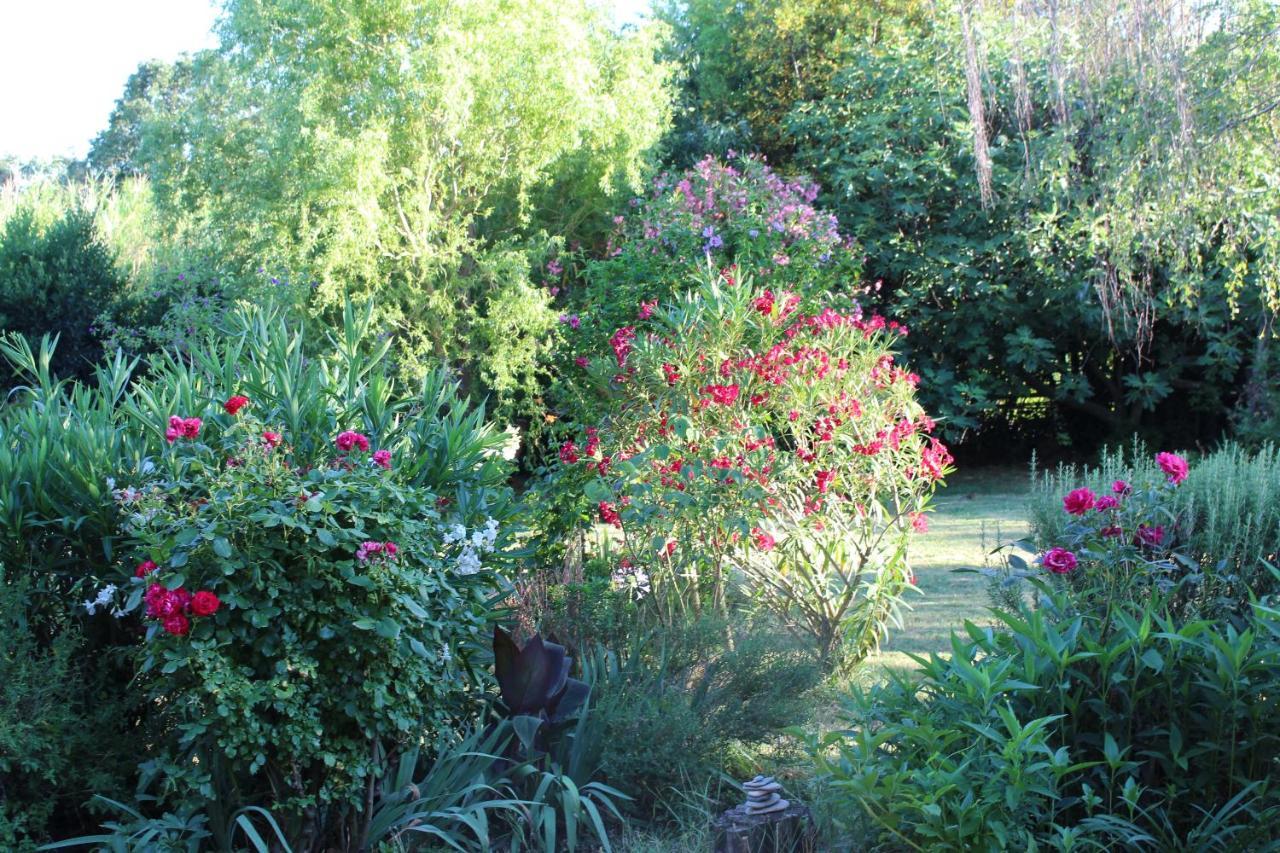 Mas Les Romarins, 10 Min D'Uzes, Piscine Et Grand Jardin Clos, Jeux, Nid De Repos Et Base Pour Activites Dans Le Gard (Adults Only) Zewnętrze zdjęcie