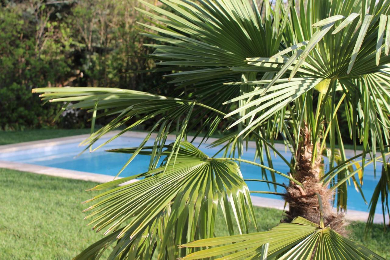 Mas Les Romarins, 10 Min D'Uzes, Piscine Et Grand Jardin Clos, Jeux, Nid De Repos Et Base Pour Activites Dans Le Gard (Adults Only) Zewnętrze zdjęcie